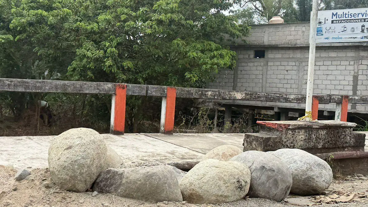 WhatsApp Image 2026-02-16 at 7.53.22 PM