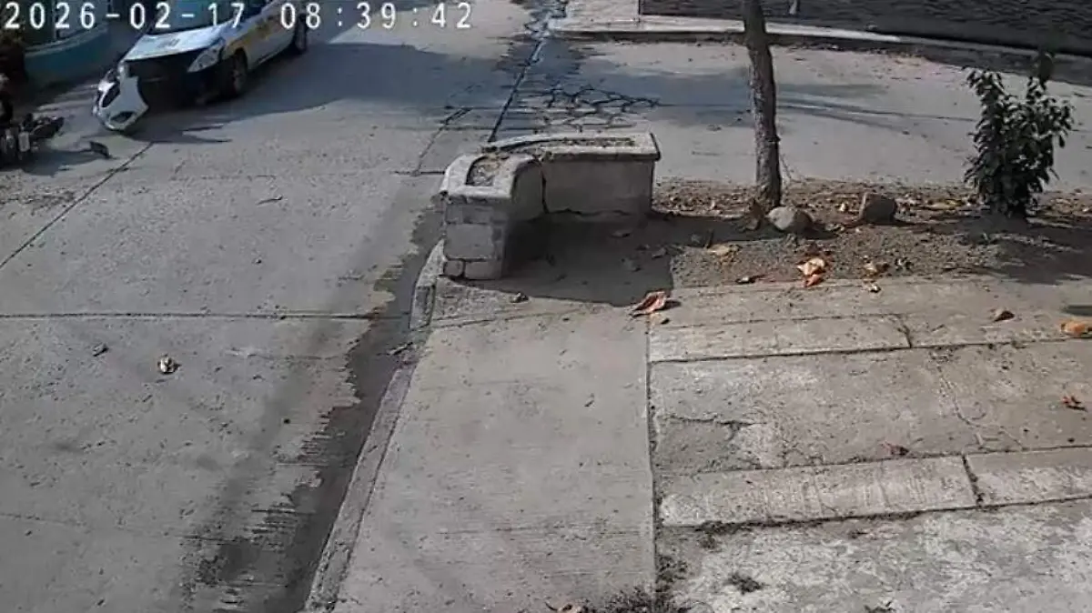 WhatsApp Image 2026-02-18 at 4.26.02 PM