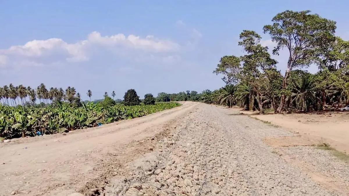 e187f140-0cc1-4a32-9013-636677a28812