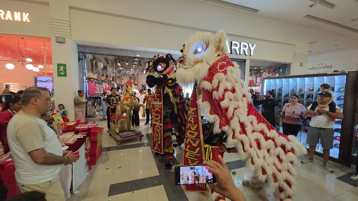
Danza de leones chinos marca el Año del Caballo en Plaza Galería Tapachula
