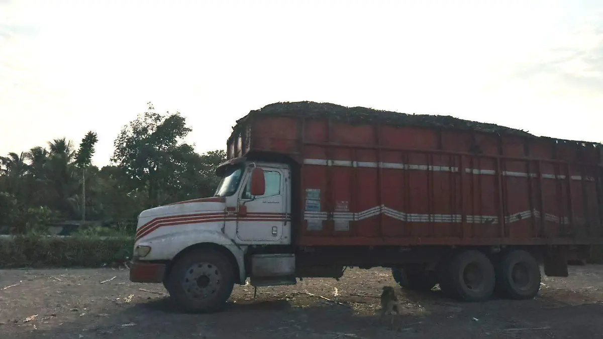 Zafra camiones de caña