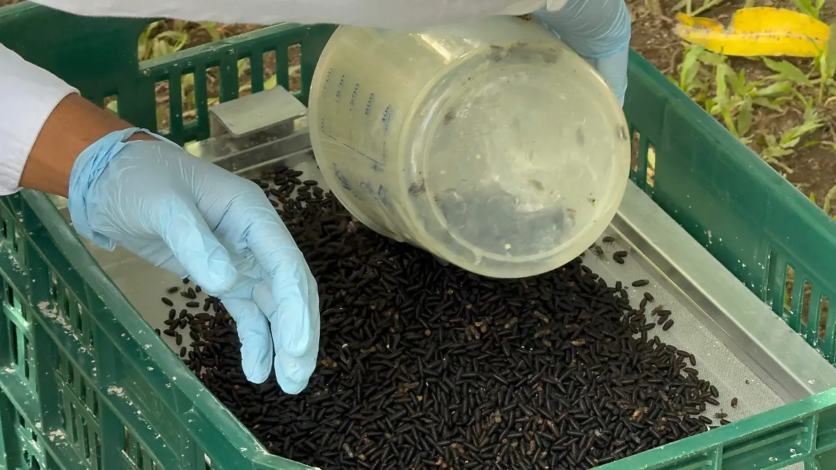 f45f6bdc-4436-4d65-85e0-f2b0a4a9ec37