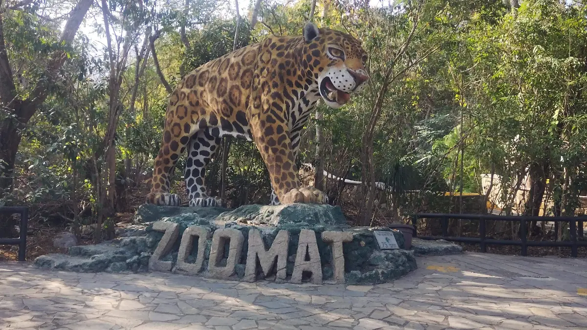 Acceso vía transporte público 