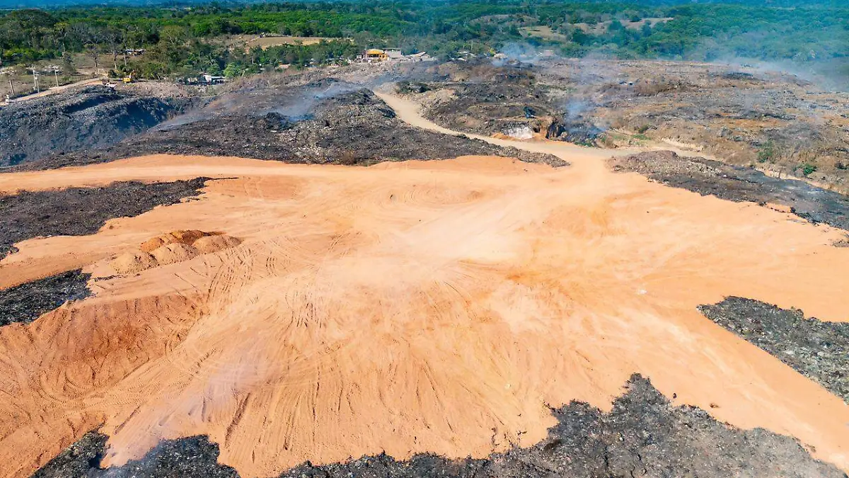 WhatsApp Image 2026-02-26 at 8.24.42 PM (1)