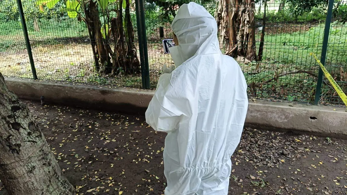 67b50760-51d2-4edc-87cc-595da6d4c0b0