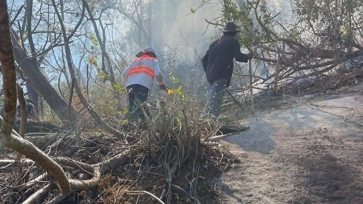 WhatsApp Image 2026-02-27 at 3.21.17 PM