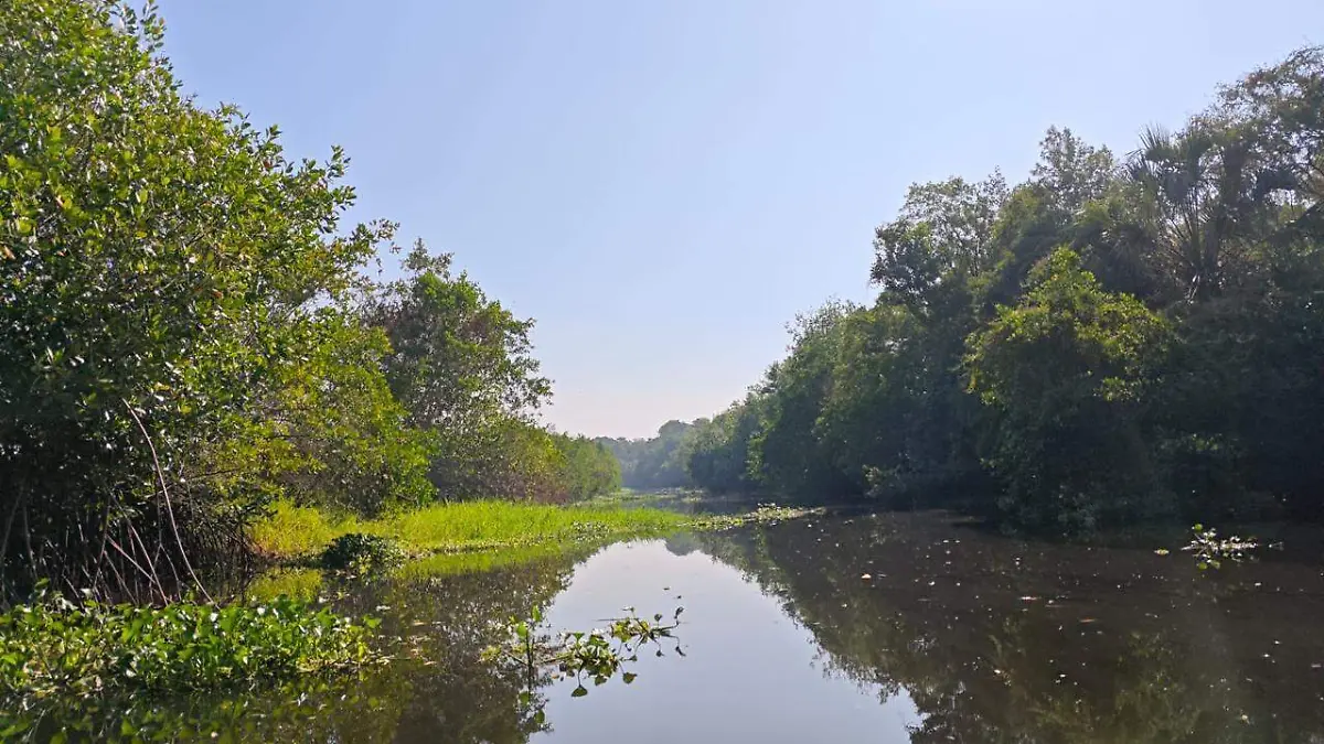 8b6414ff-ec21-46fb-a35d-4c94b7a77875