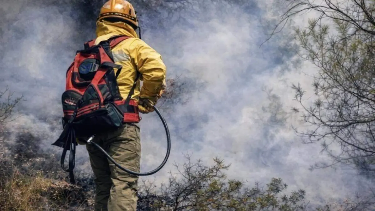Incendios forestales Conafor Soconusco