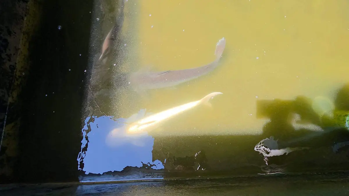 WhatsApp Image 2026-03-07 at 3.24.22 PM