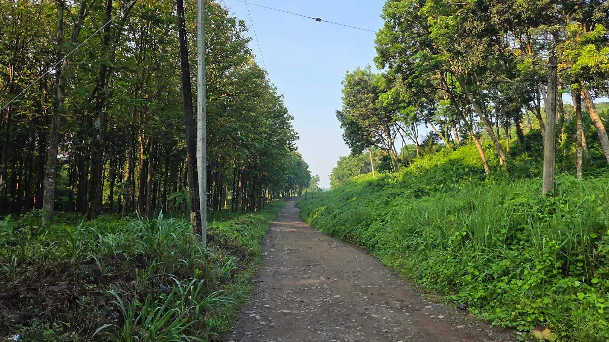 Caminos zona alta Tapachula