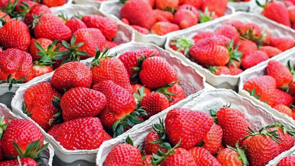 fresas