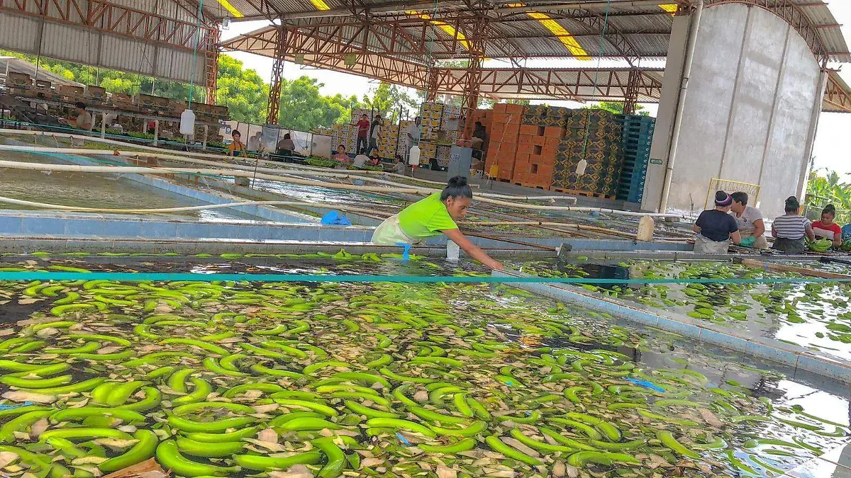 37edf397-5045-4bd2-a856-5155f59a6a47