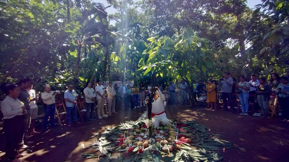 2b6077f5-6e71-4440-82f0-41e4ce03a89c