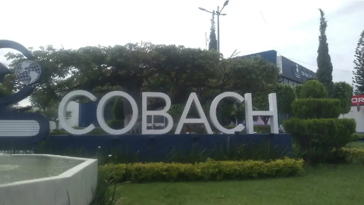 Captura de pantalla 2026-03-19 a la(s) 13.46.54