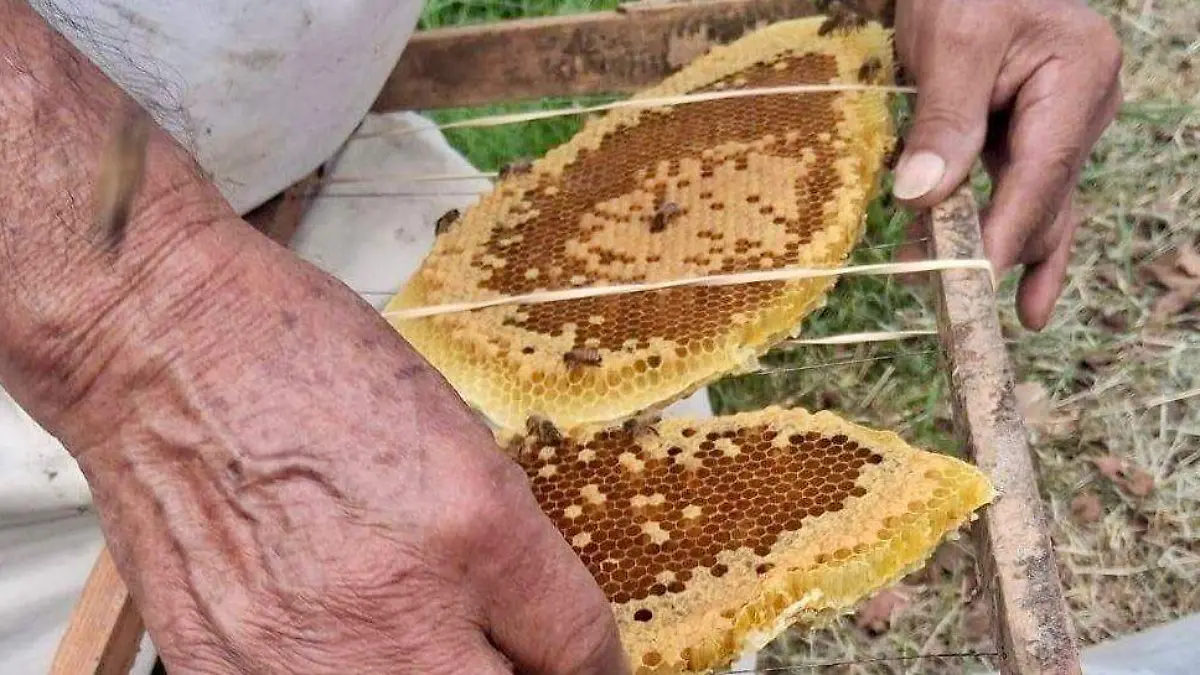 3a4f292f-3fb0-4144-bacf-bfe433c06974