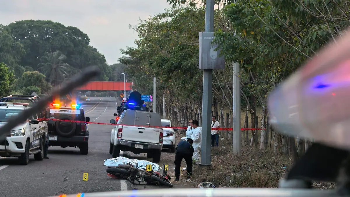 2c81cf64-f10b-4ca1-8795-bd39fbb828e0