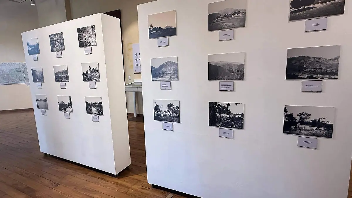 WhatsApp Image 2026-03-20 at 8.00.03 PM (1)