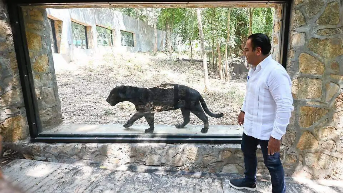 WhatsApp Image 2026-03-24 at 7.23.44 PM (1)