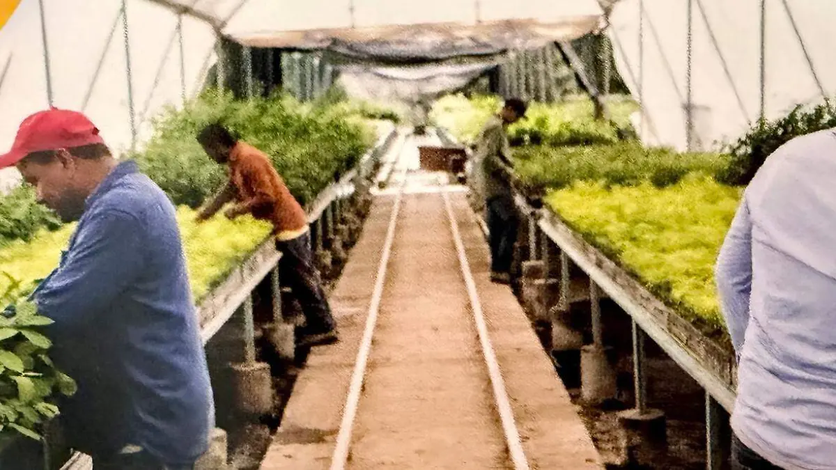 75c26381-3574-4208-b2a3-1757eac15397