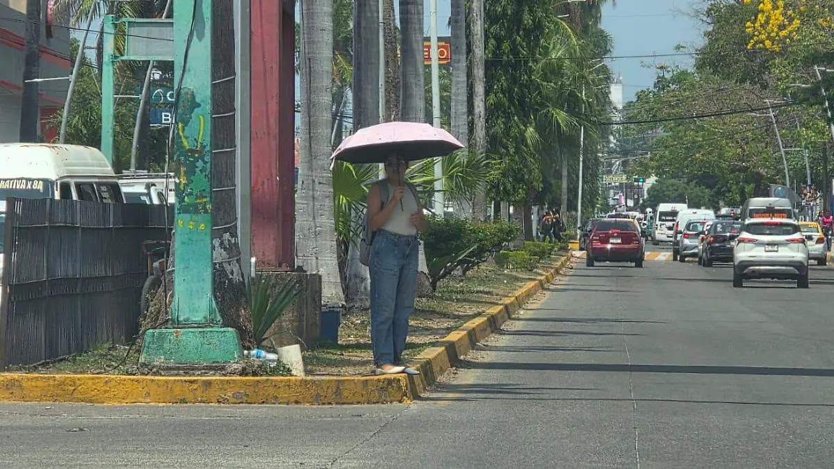 WhatsApp Image 2026-03-25 at 5.23.49 PM (1)