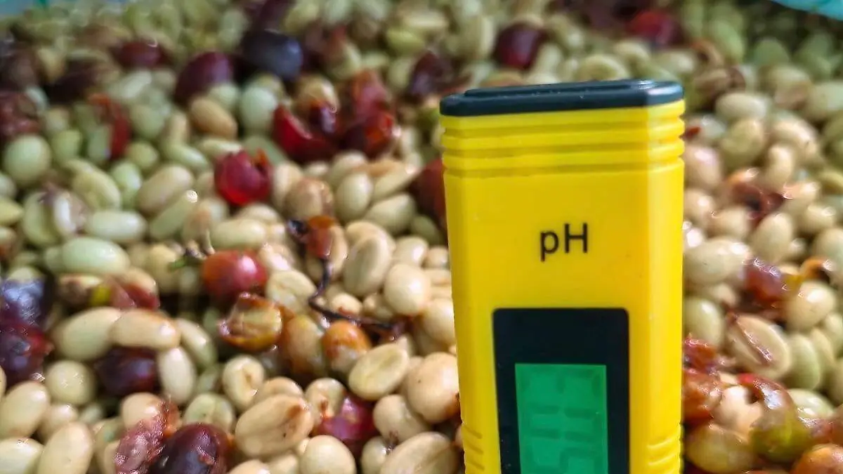 98b26698-7eff-421d-b95f-928c88840fea