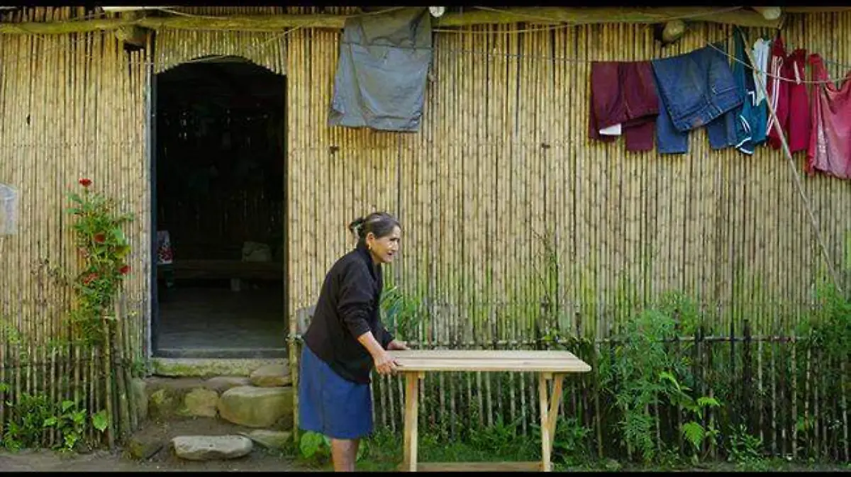 post_Still_2025-01-29_175003_1.212.1