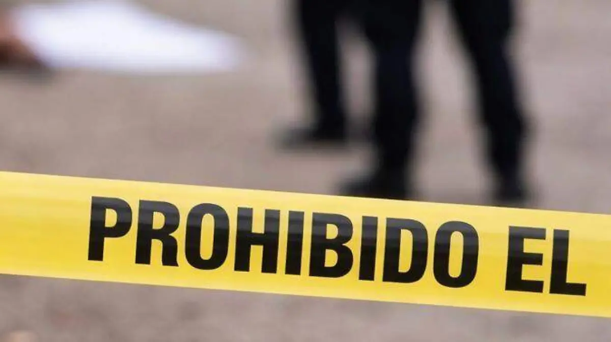 c80953ee-cbbf-42be-9d50-20c62305de71