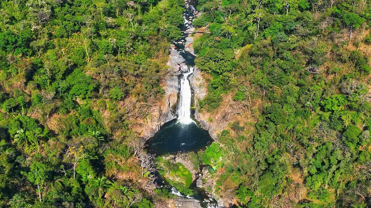 87e01fd2-795b-4ce6-aed8-2f89d1019359