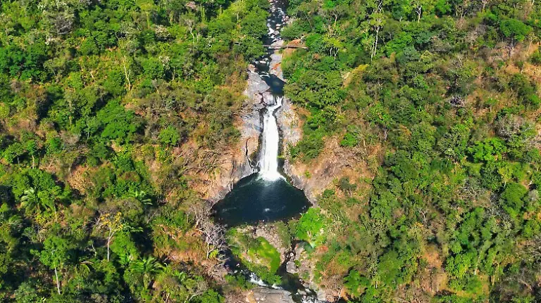 87e01fd2-795b-4ce6-aed8-2f89d1019359