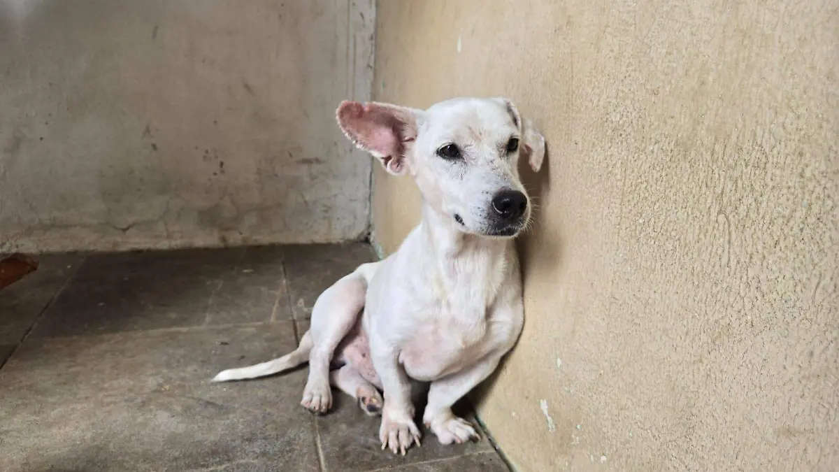 298cb425-4b6a-45eb-9c0e-c587e19187e0