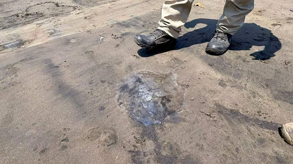 c25ec816-4ef8-48f6-a354-9ca2fd2a8fb2