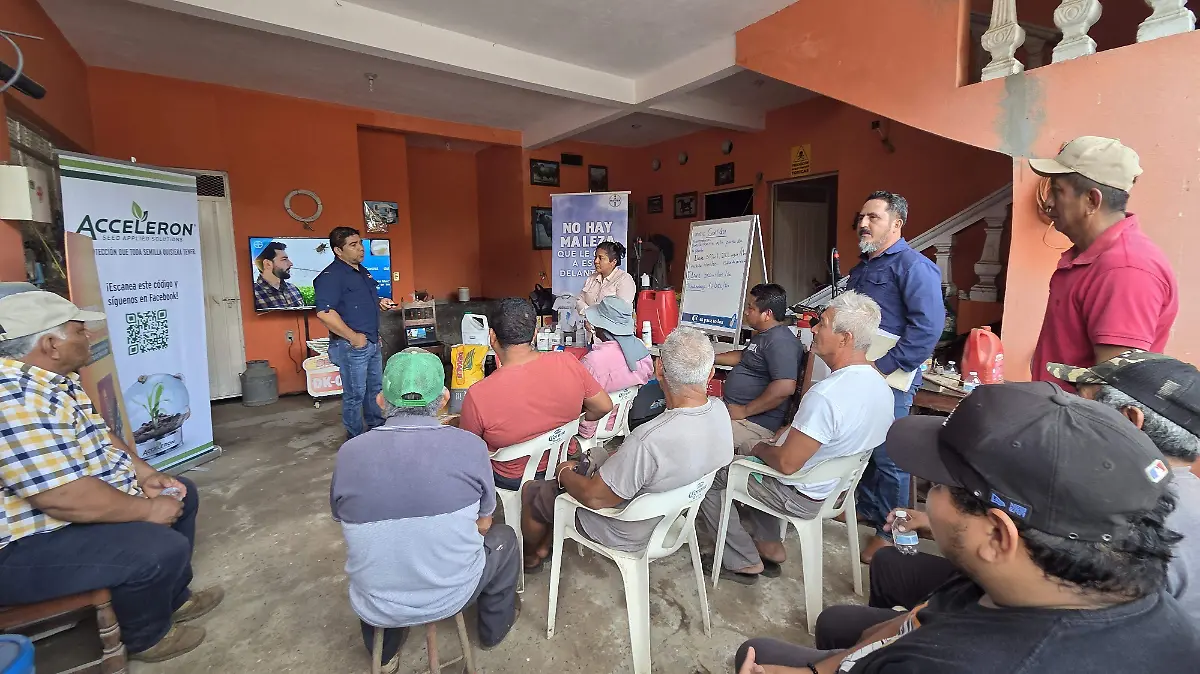 Productores