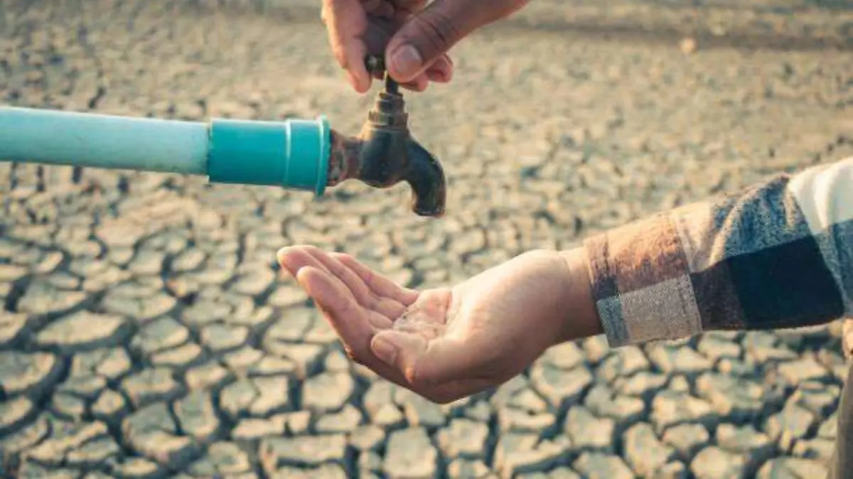 istockphoto-2169255915-612x612