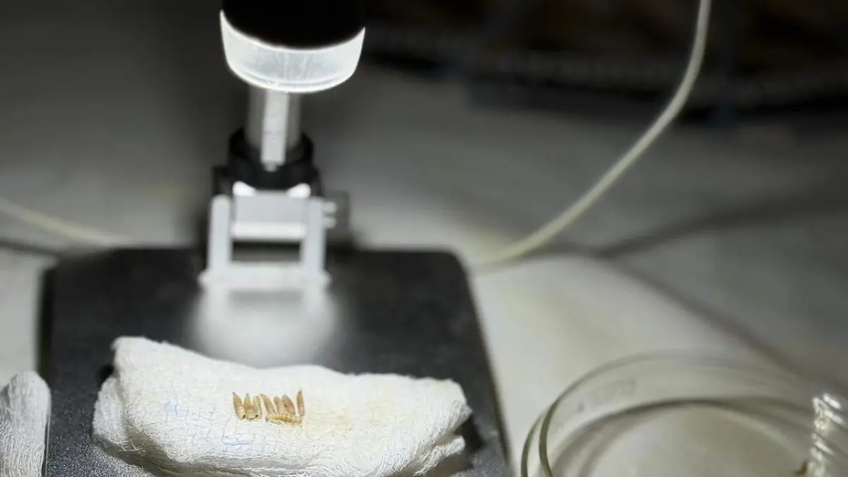 9f0ab68a-54c1-417f-a3f9-14b199486ca4