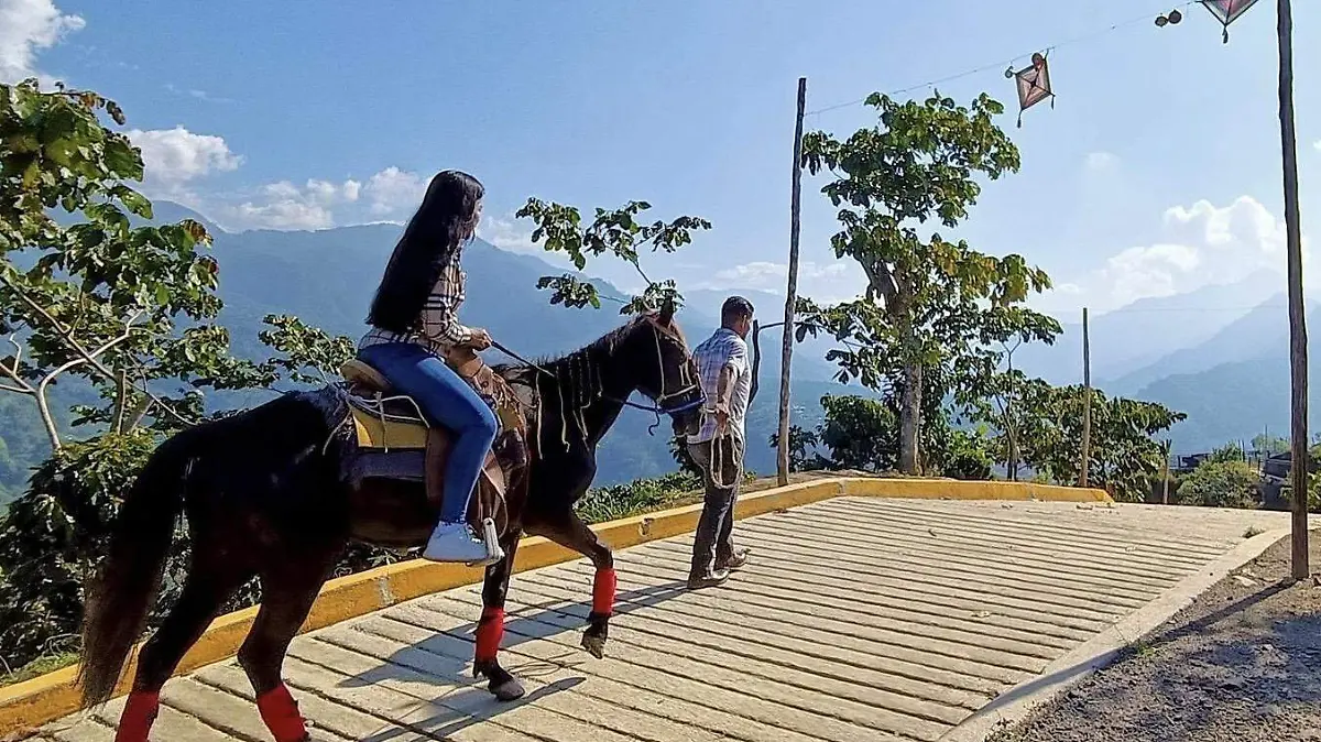 c173bdfa-ddab-4dba-9dcb-4cba6af0ff69