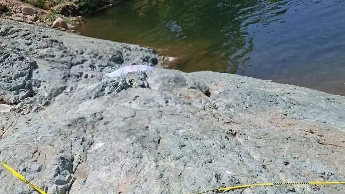 WhatsApp Image 2026-04-10 at 7.06.34 PM