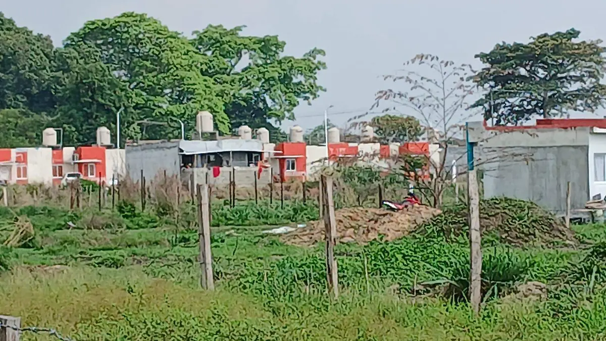 WhatsApp Image 2026-04-11 at 5.00.46 PM