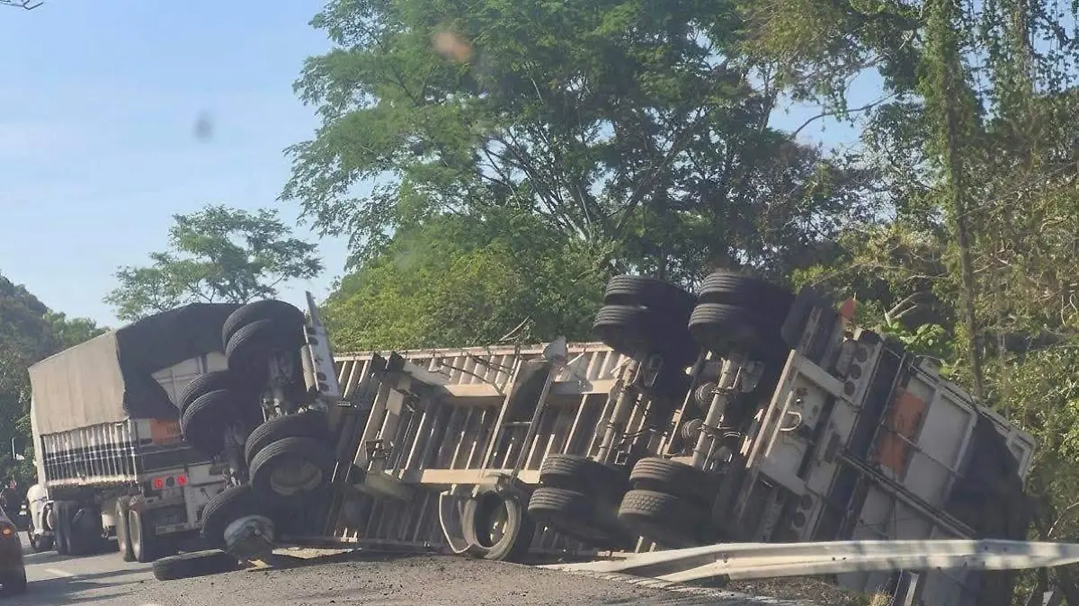 WhatsApp Image 2026-04-12 at 11.11.46 AM