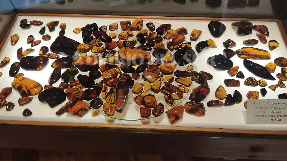 WhatsApp Image 2026-04-15 at 11.54.33 AM