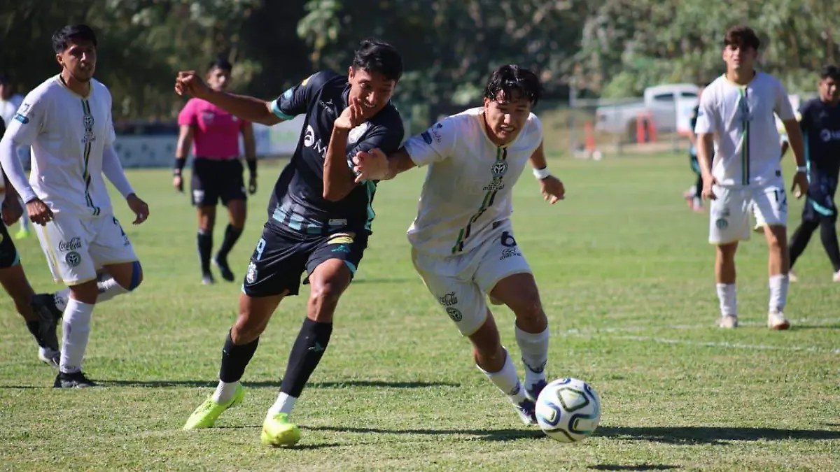 WhatsApp Image 2026-04-16 at 2.41.29 PM