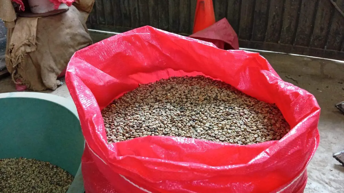 WhatsApp Image 2026-04-18 at 2.56.46 PM (1)