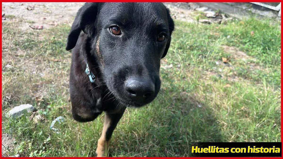 Editable marco productos