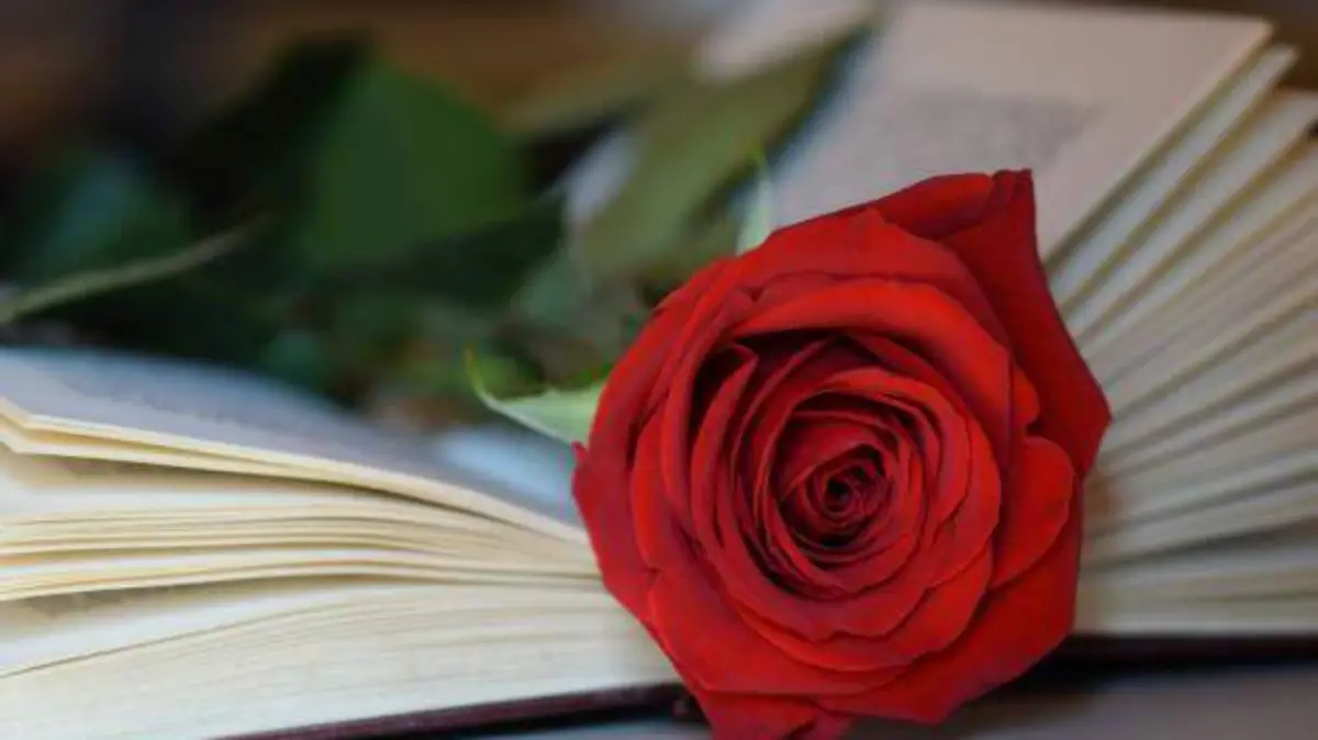 istockphoto-671156960-612x612