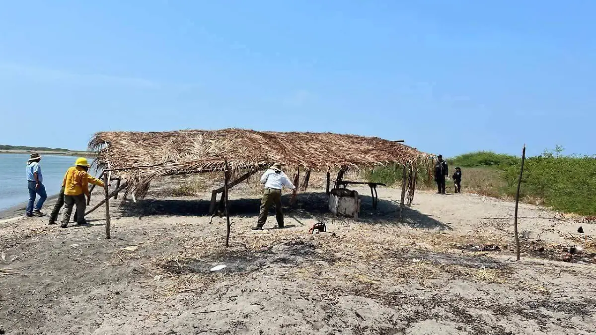 WhatsApp Image 2026-04-28 at 2.01.15 PM