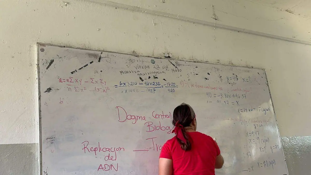 profesora