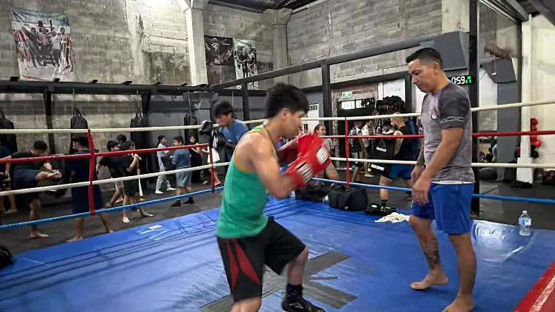 Ring entrenamiento box