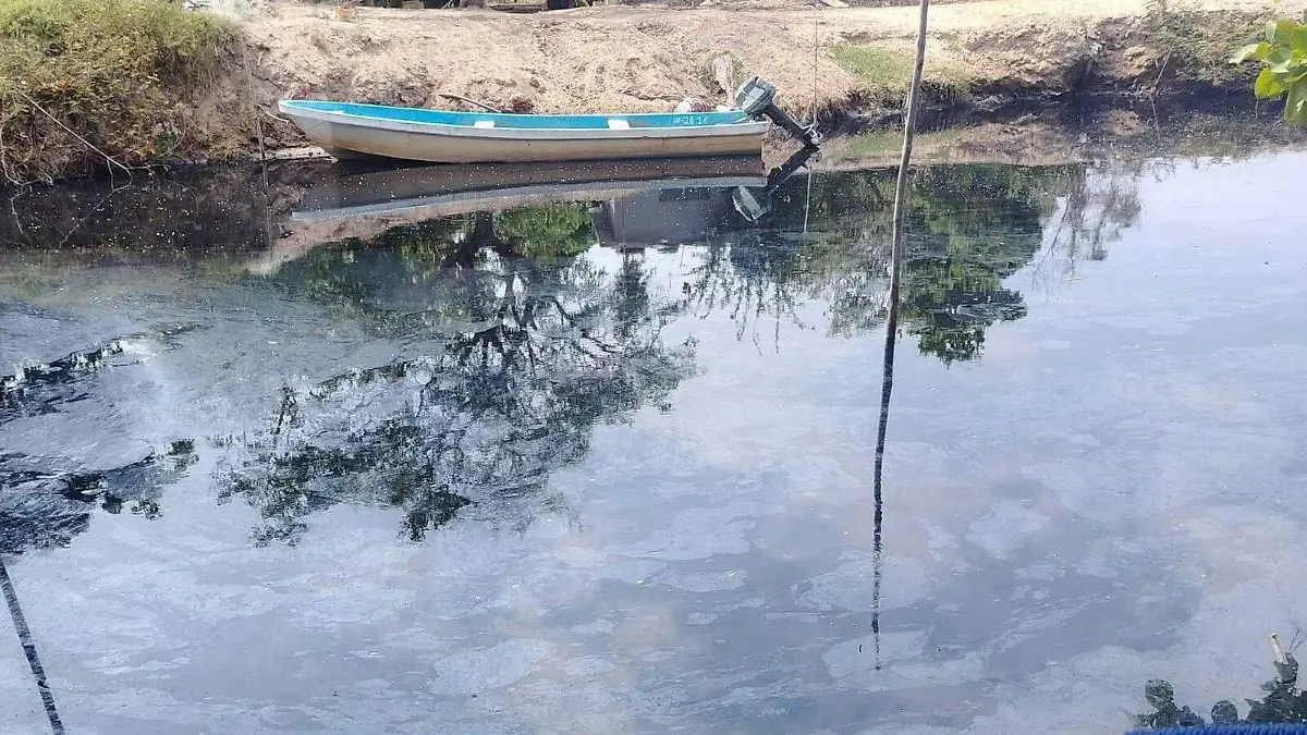 aguas negras en el paredón