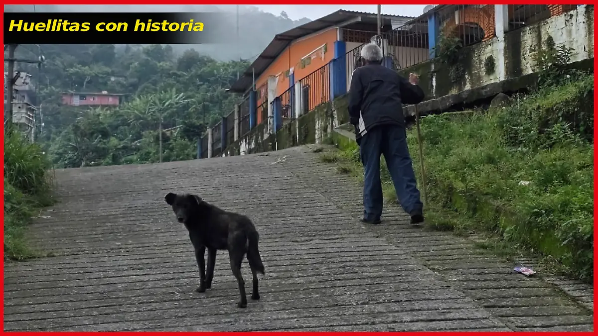 Huellitas con historia-Coronel