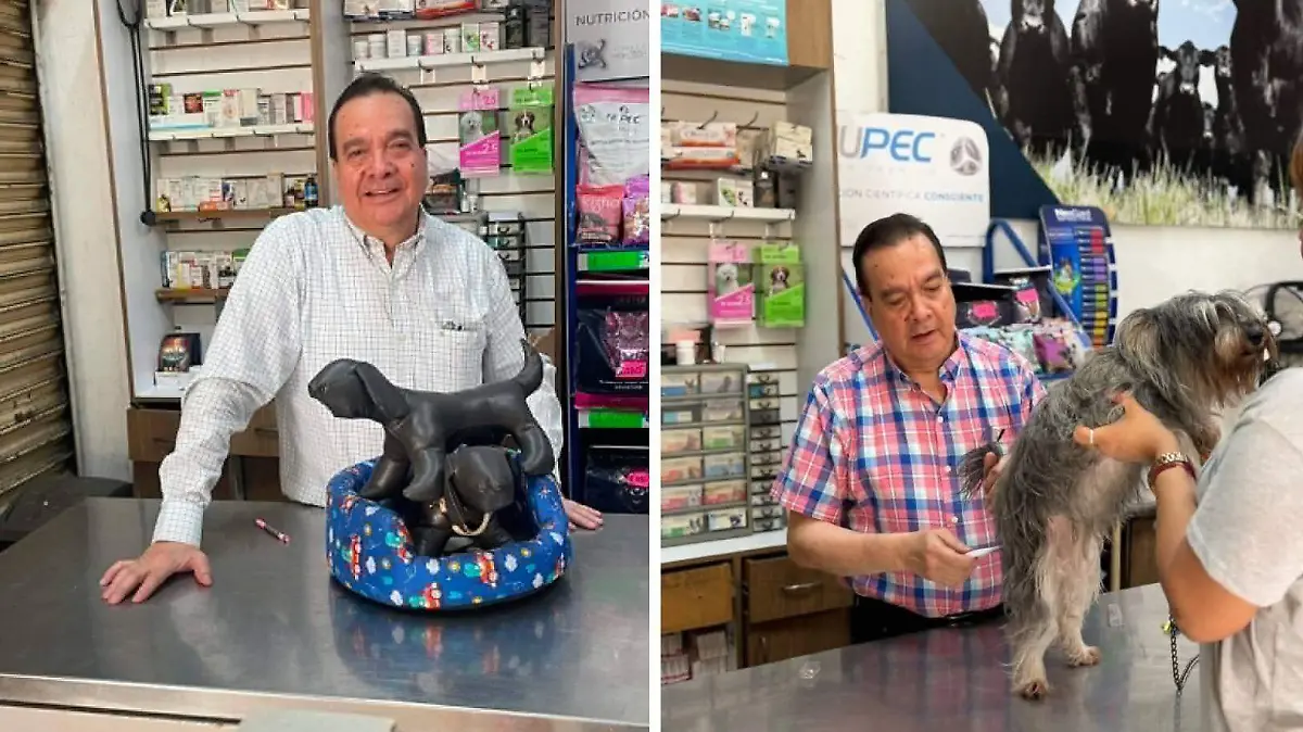 Proyecto nuevo