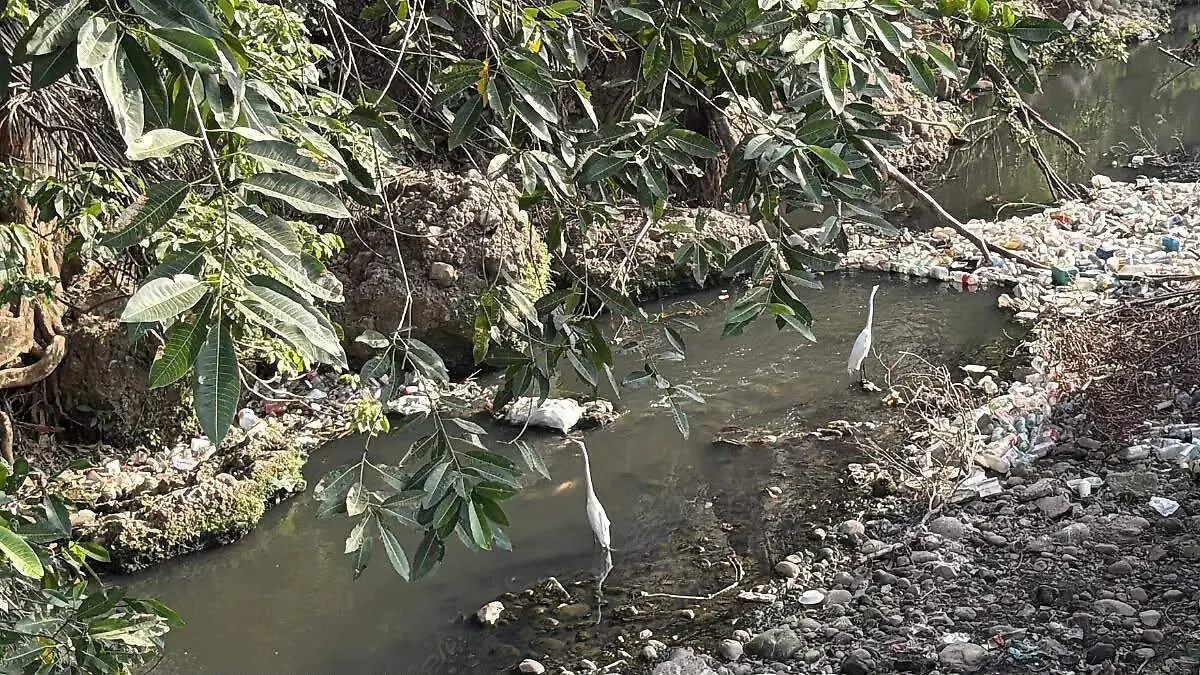 Contaminación de ríos3